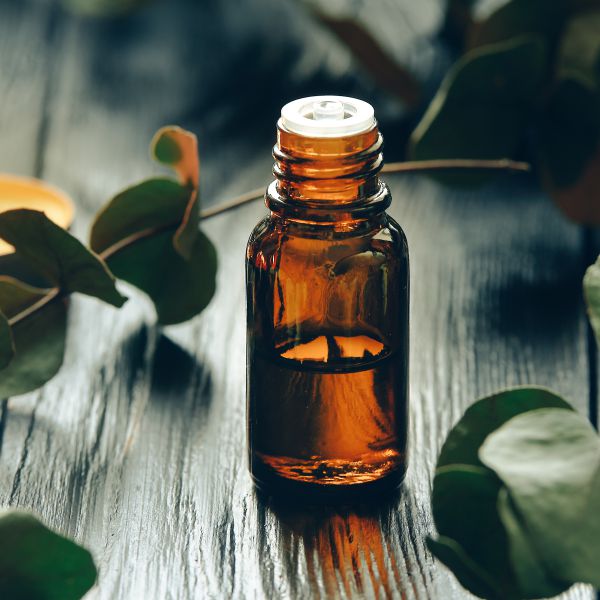 Aceite esencial de Eucalipto