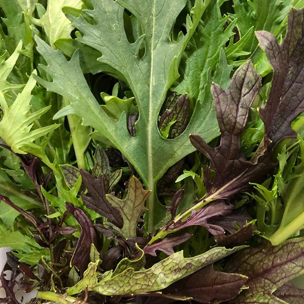 Mix de lechugas asiaticas