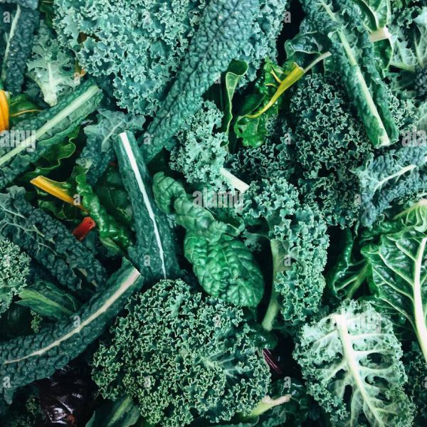 Mix de Kale Rizado y Toscano